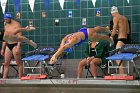 Swimming & Diving vs Babson  Swimming & Diving vs Babson College. - Photo by Keith Nordstrom : Wheaton, Swimming